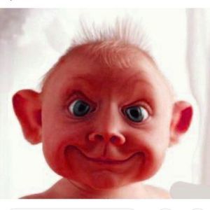 Meet your Posher, Shane